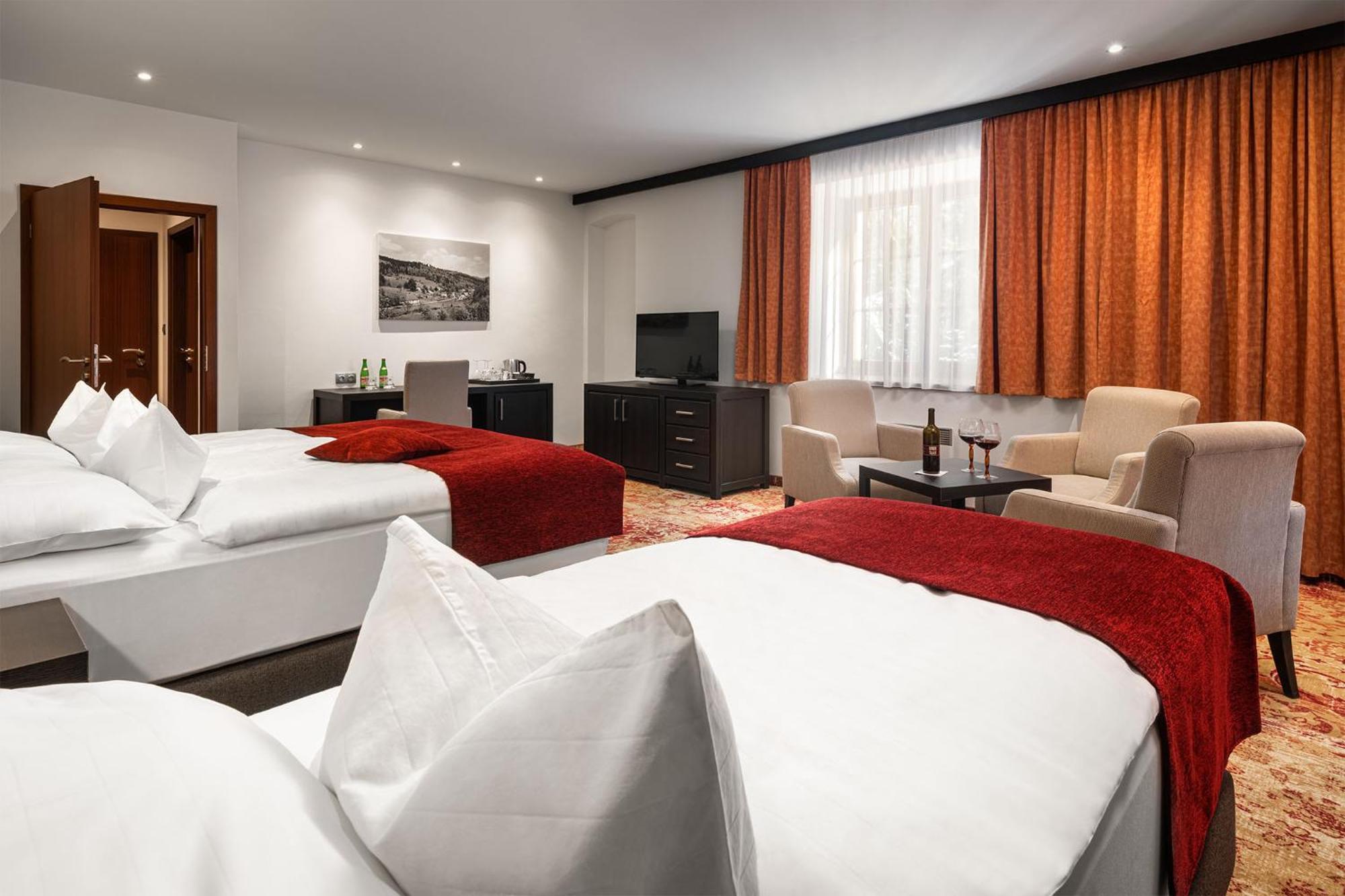 Hotel Singer Ludvikov Room photo
